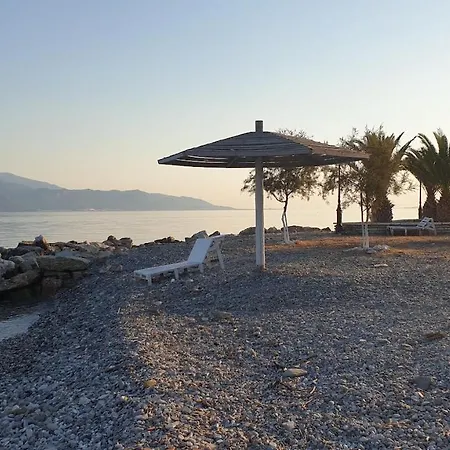 Nafpaktos Pebble In Marathias (Fokida)